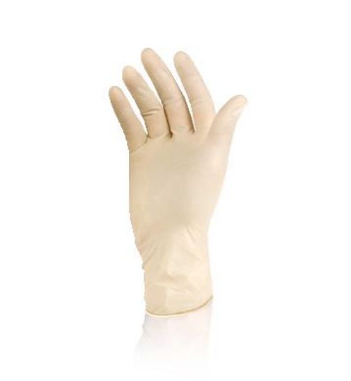 Picture of Clear Vinyl Gloves, Powder Free (2000 Case)