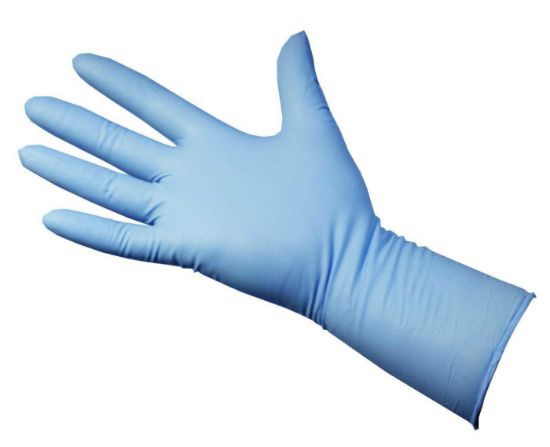 Bodytech, Blue Nitrile Glove, PF  270mm (1000 Case)
