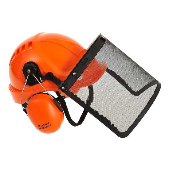 Forestry Helmet with Visor & Ear Muffs, Orange	