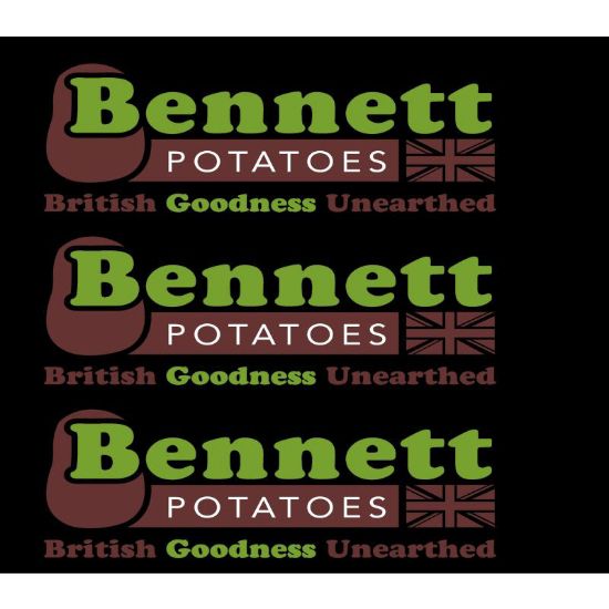 Picture of Bennett B26 Logo on Back