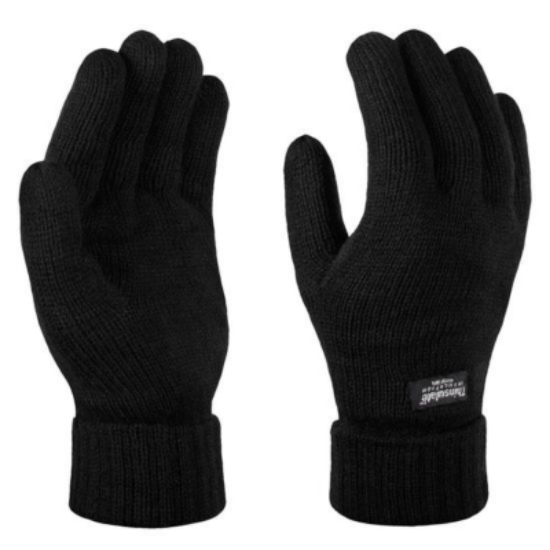 Picture of REGATTA Thinsulate Gloves, Black-One Size