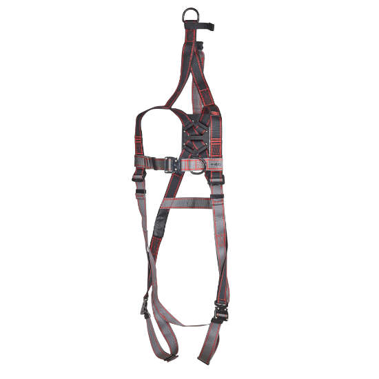 Picture of PIONEER 2-POINT RESCUE HARNESS