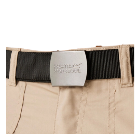 Picture of Regatta Premium Workwear Belt