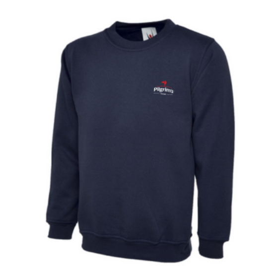 Picture of Ladies Sweatshirt Navy, C/W P176 Logo, Each