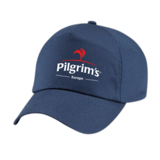 Picture of Navy Baseball Cap, P176 Logo, Each
