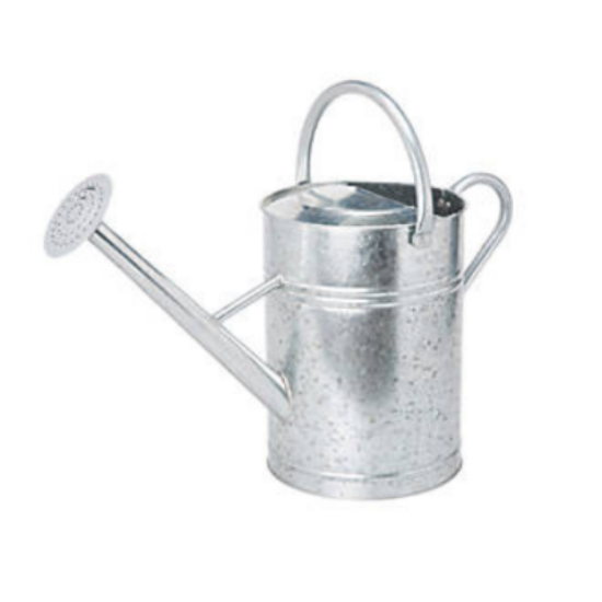 Picture of Galvanised Watering Can