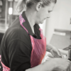 Medium Duty Aprons on a Roll, 1000/Case, 27 x 46, Pink