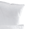 Eco Classic Oil Only Pillows